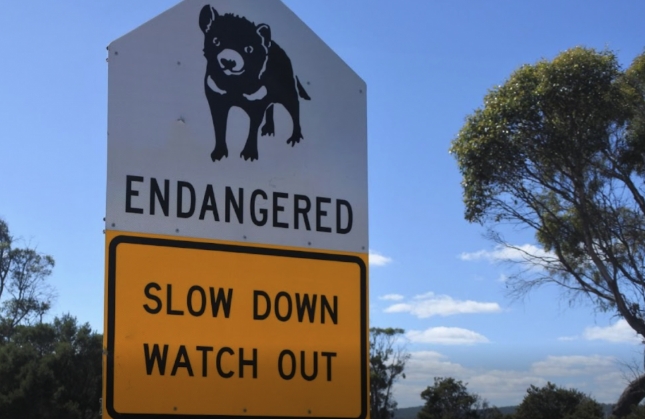 1736158223138123.png 全球8大奇特交通法規(guī)3.png